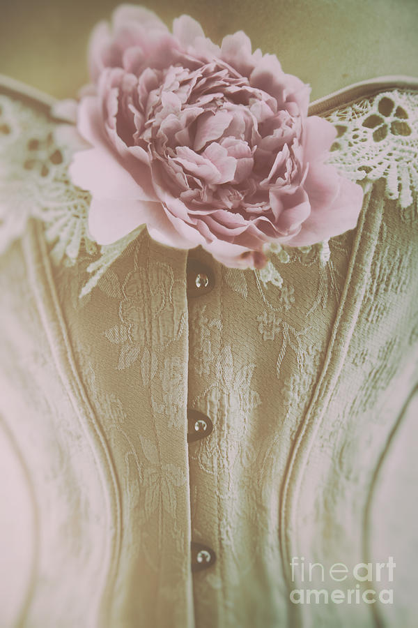 Pink corset with large flower Photograph by Sandra Cunningham