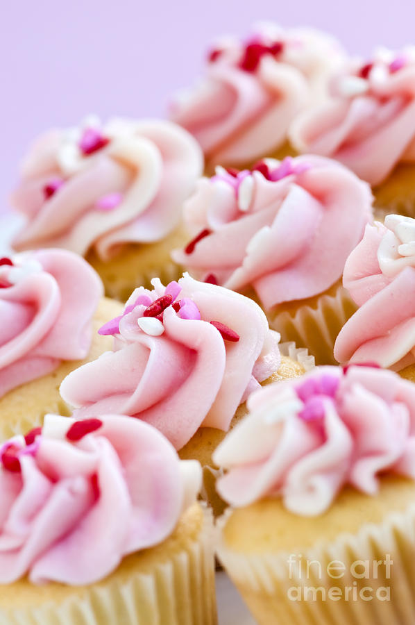 Cake Photograph - Pink cupcakes 2 by Elena Elisseeva