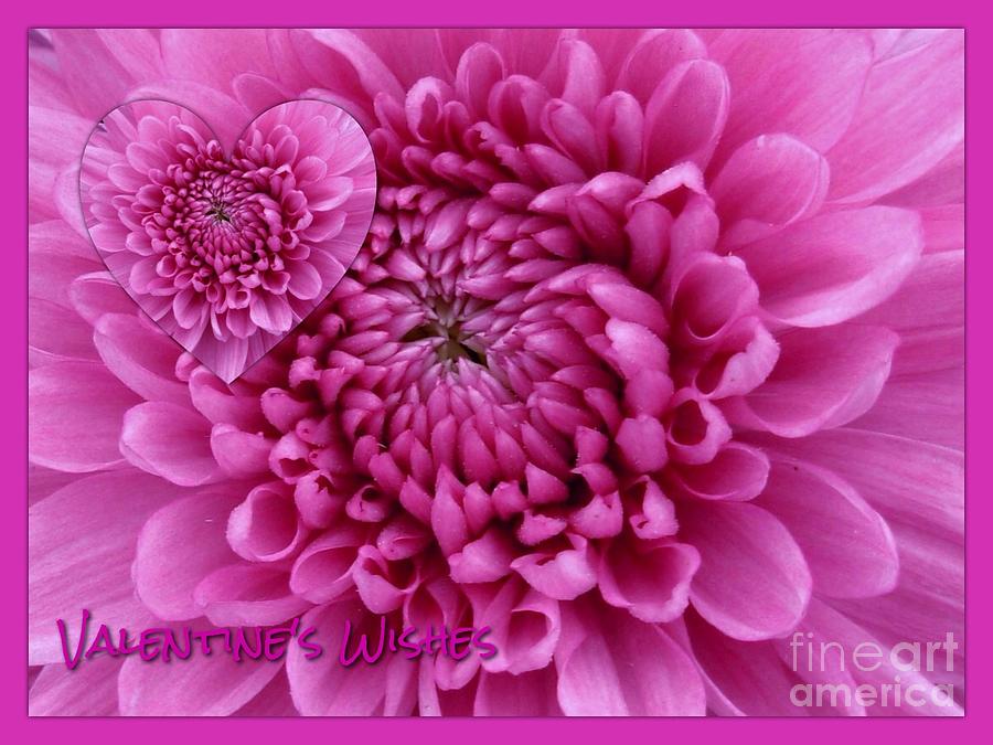 Pink Dahlia Valentines Wishes Photograph by Joan-Violet Stretch