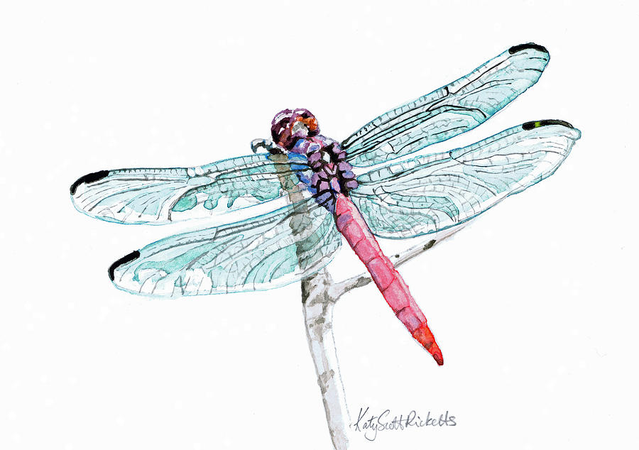 Nature Painting - Pink Dragonfly by Katy Scott Ricketts