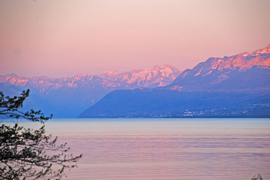 Pink Dusk over Lake Geneva Photograph by Ankya Klay