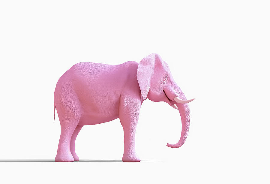 Pink elephant statue Photograph by Chris Clor