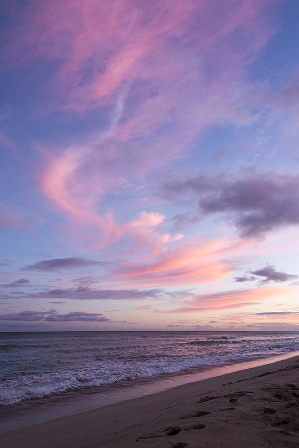 pink sunsets on the beach