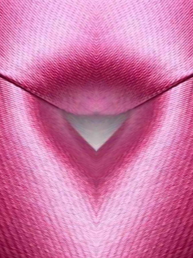 Pink Fabric Digital Art by Mary Russell