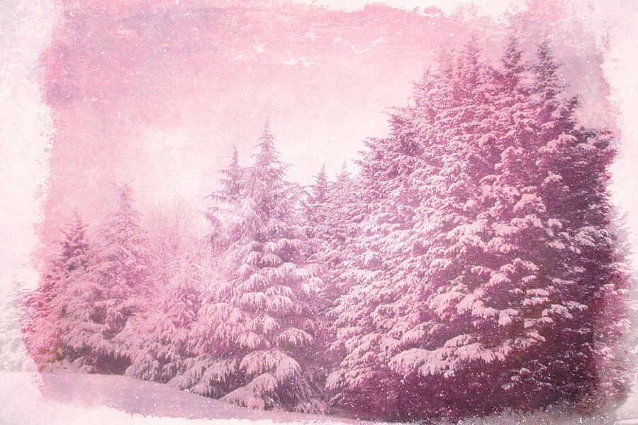 Pink Falling Snow Photograph By Suzanne Powers