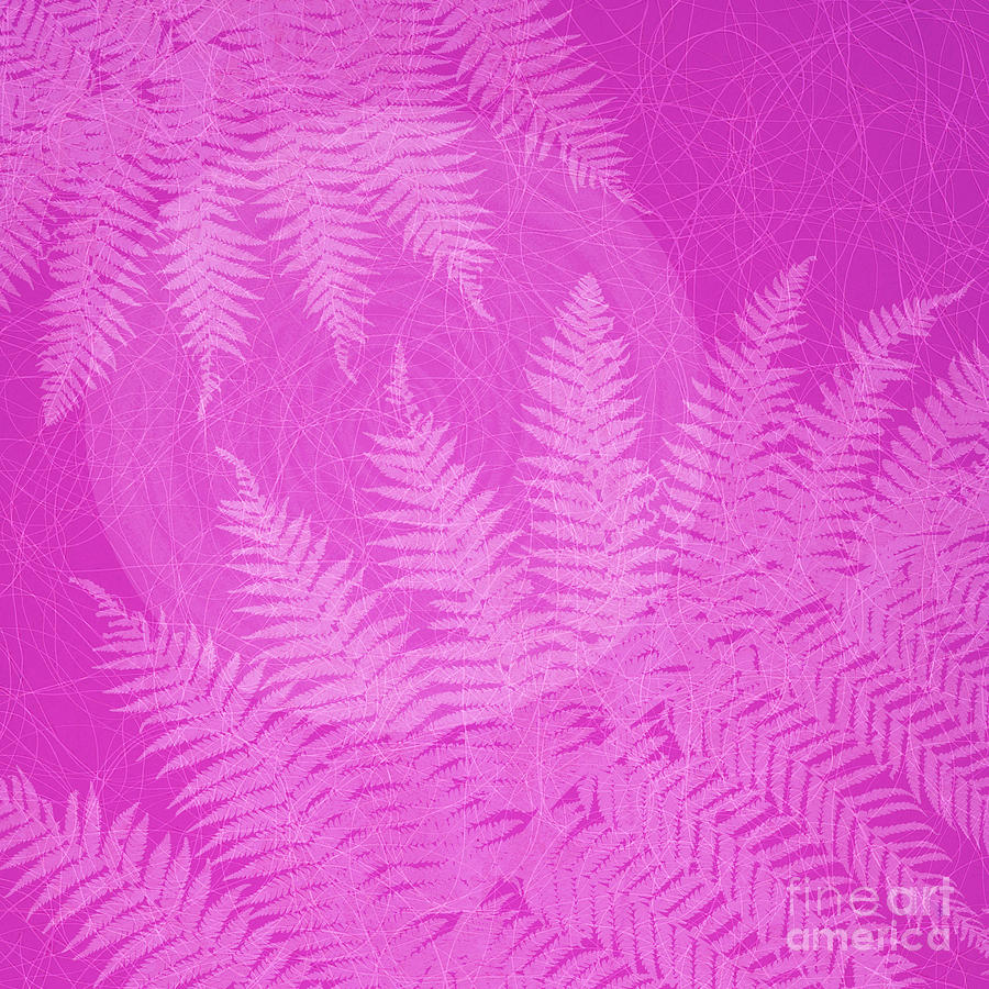 Pink Fern Pattern Photograph by Tim Gainey