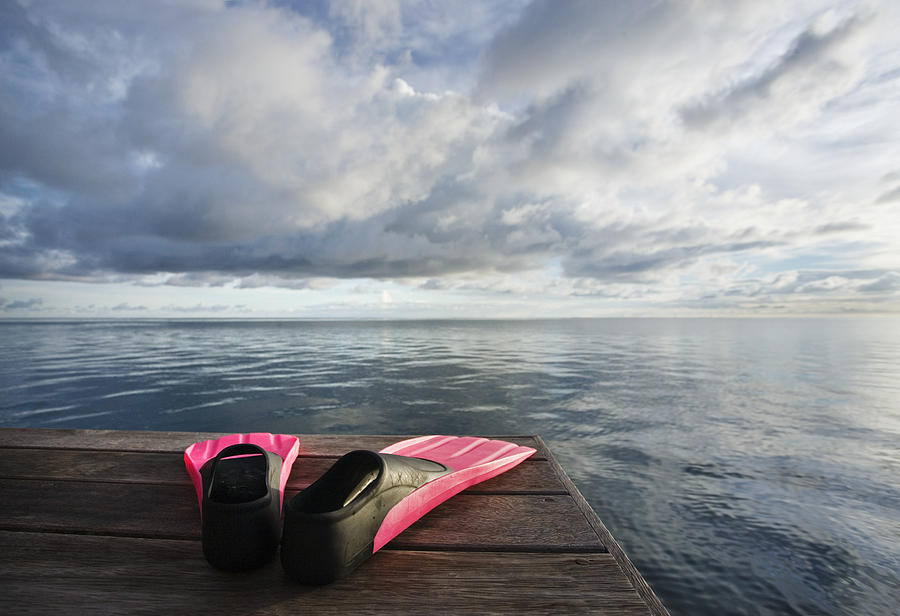 Cool Photograph - Pink fins on dock by M Swiet Productions