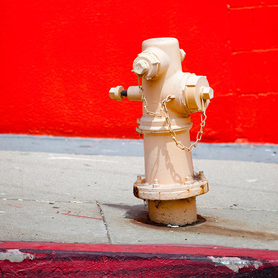 Vintage Photograph - Pink Fire Hydrant by Art Block Collections