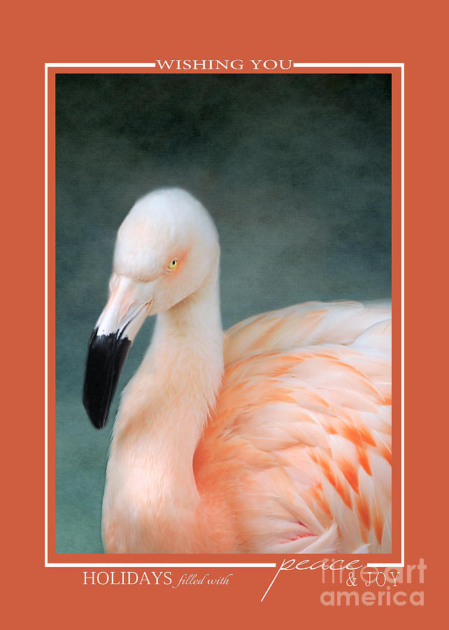 Pink Flamingo 3 Tropical Bird Christmas Cards Photograph by Jai Johnson