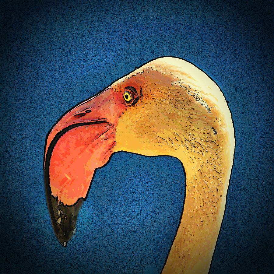 Pink Flamingo Photograph - Pink Flamingo by Angel Eowyn Pink Flamingo Photograph - Pink Flamingo by Angel Eowyn