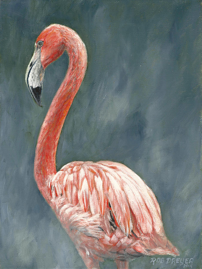 John James Audubon Painting - Pink Flamingo by Dreyer Wildlife Print Collections 