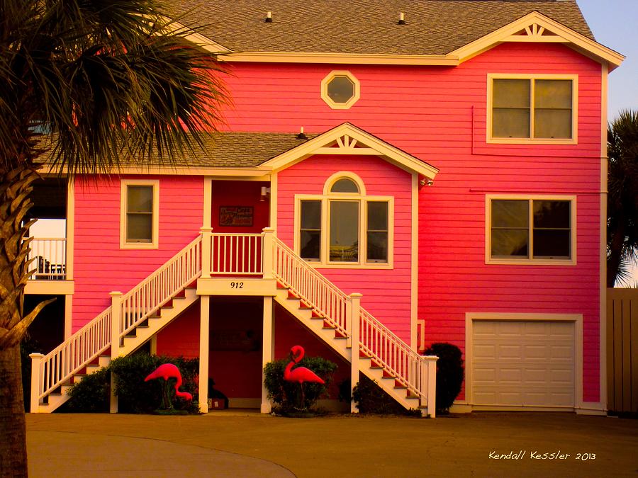 Pink Flamingos at Isle of Palms Photograph by Kendall Kessler