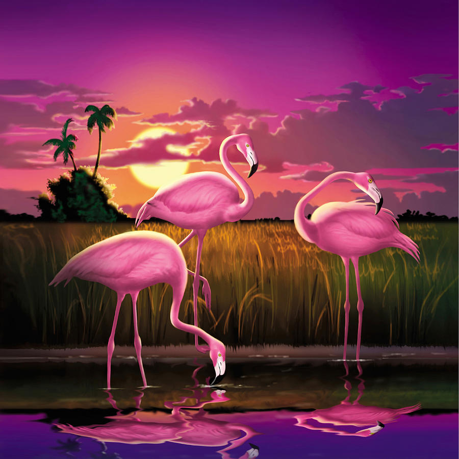 List 97+ Pictures Images Of Pink Flamingos Superb