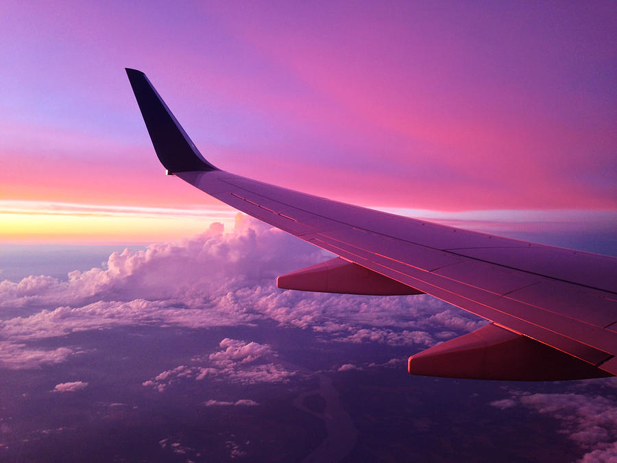 Sunset Photograph - Pink Flight by Chad Dutson