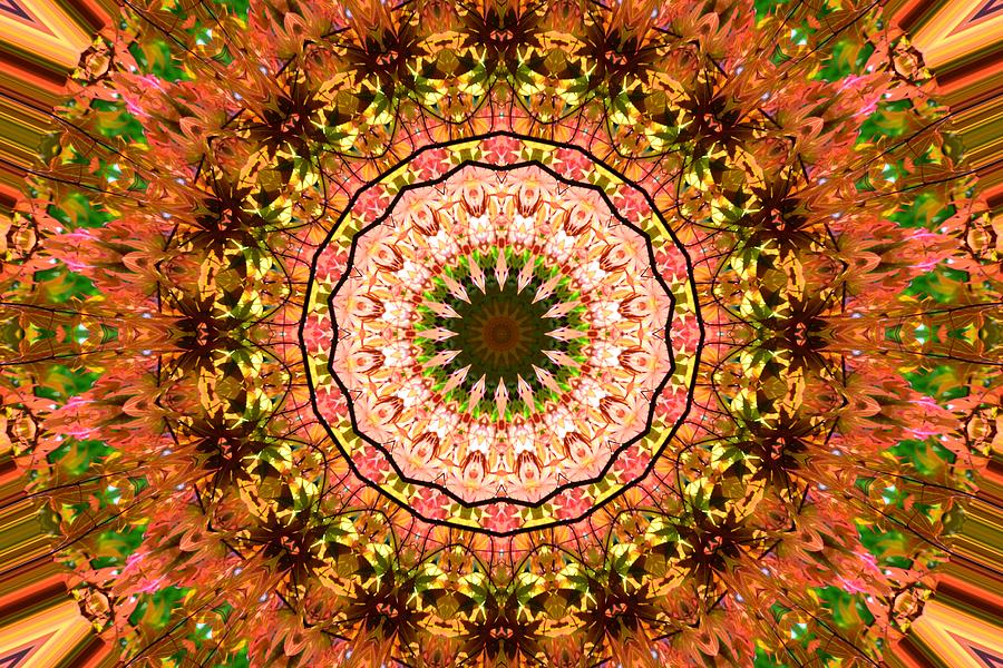 Pink Floral Kaleidoscope Photograph by Sheri McLeroy