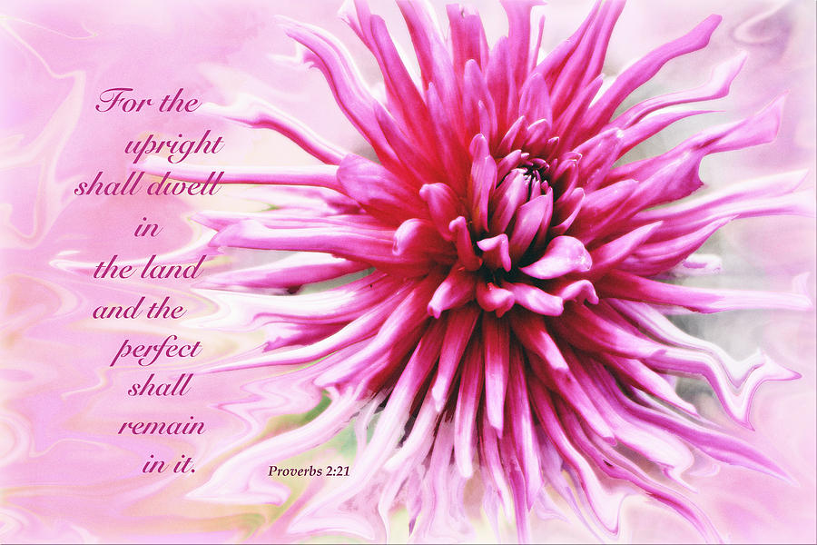 Pink Floral Scripture 1 Photograph by Debbie Nobile - Pixels