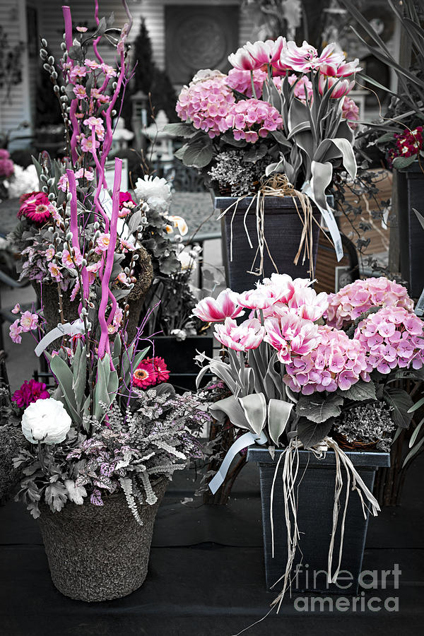Pink flower arrangements Photograph by Elena Elisseeva