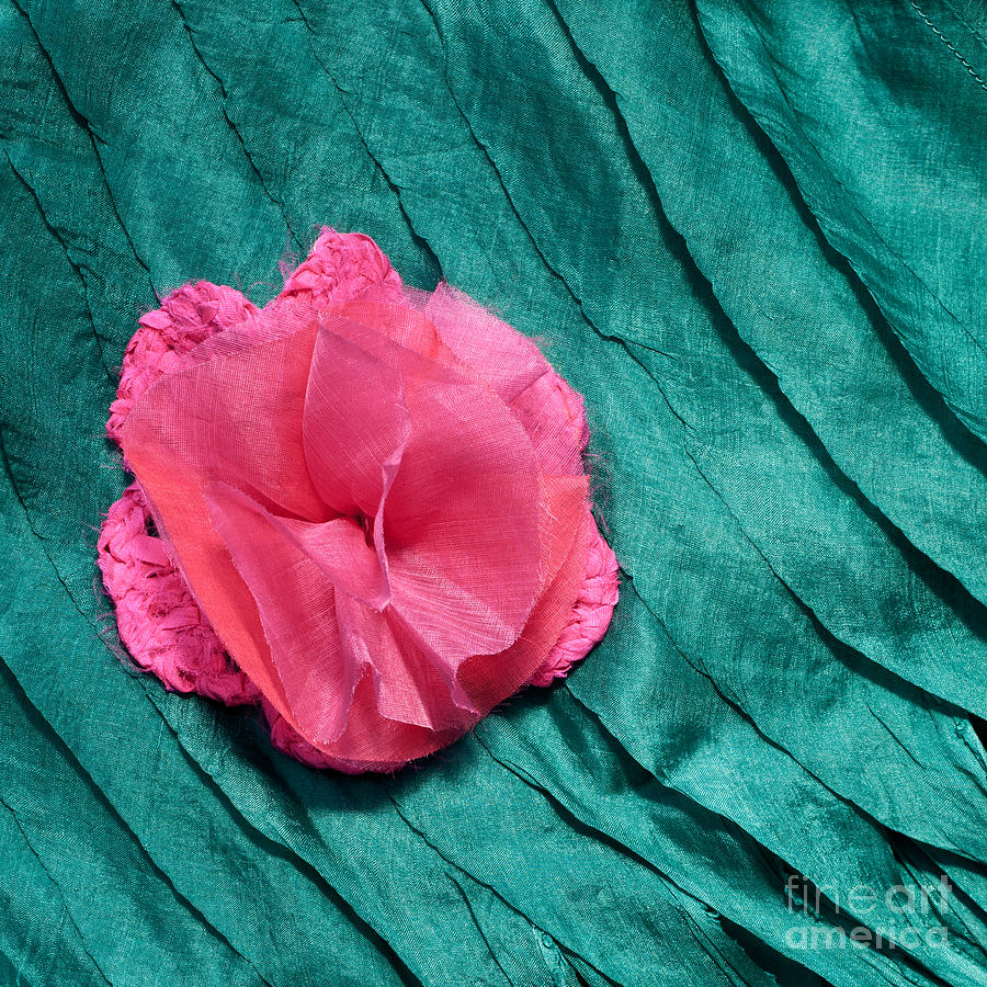 Pink Flower Blue Silk 02 Photograph by Rick Piper Photography