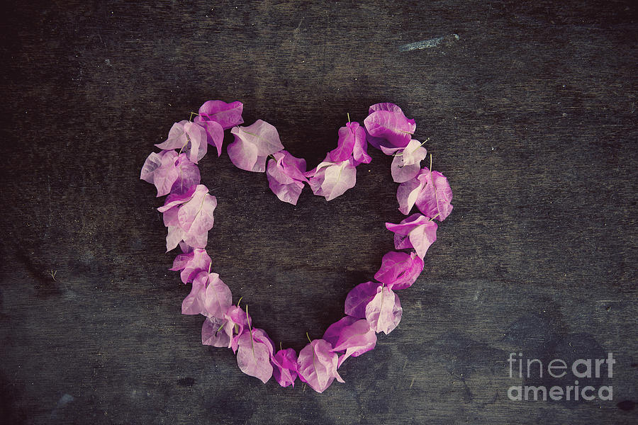 Pink flower heart Photograph by Ivy Ho
