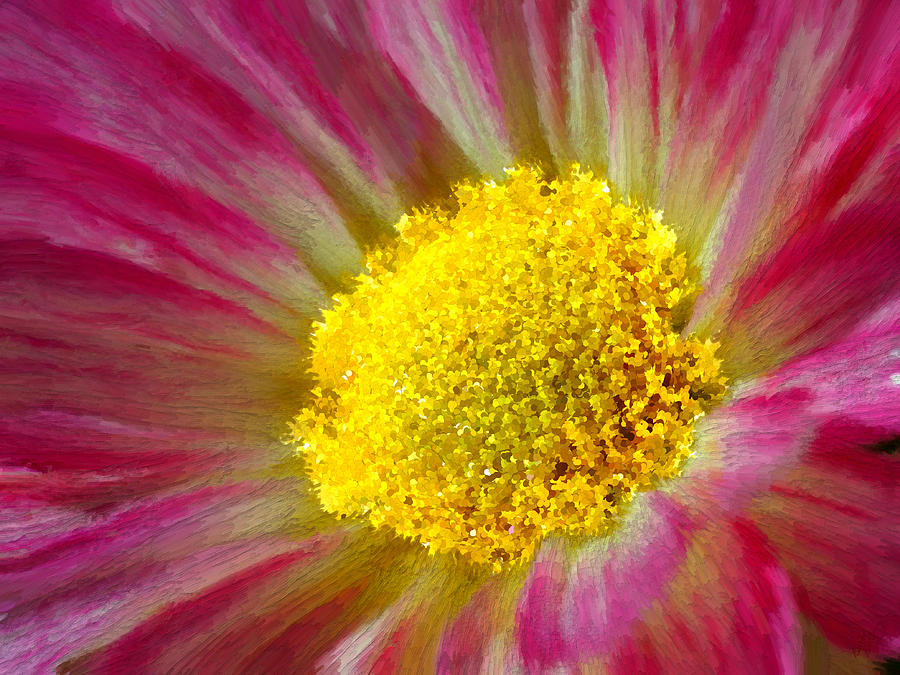 Pink Flower Macro Painting by Bruce Nutting