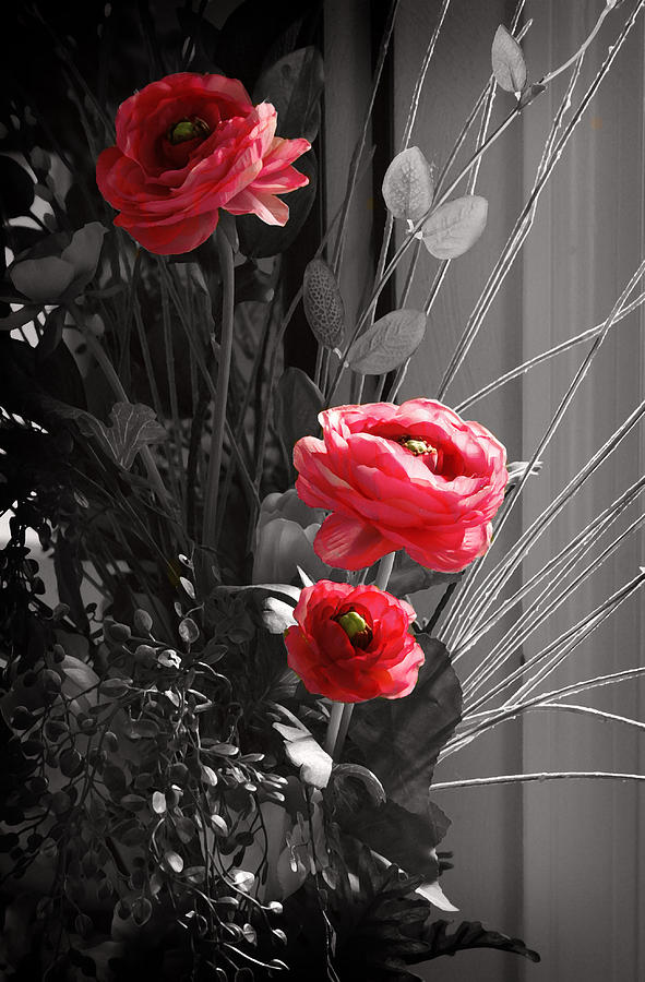 Pink flowers Digital Art by Kara  Stewart