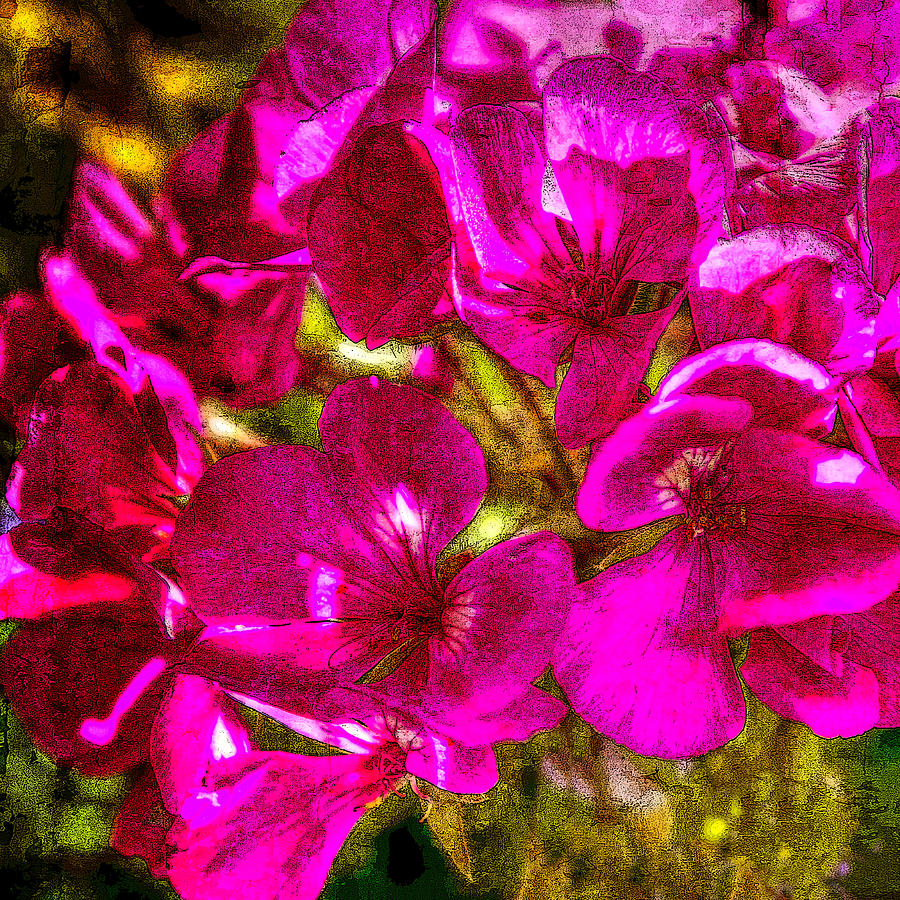 Pink Flowers Lustre Photograph by Chris McKenna