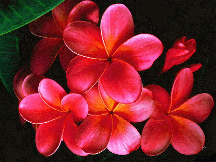 Pink Frangipani 001 Painting by Dean Wittle