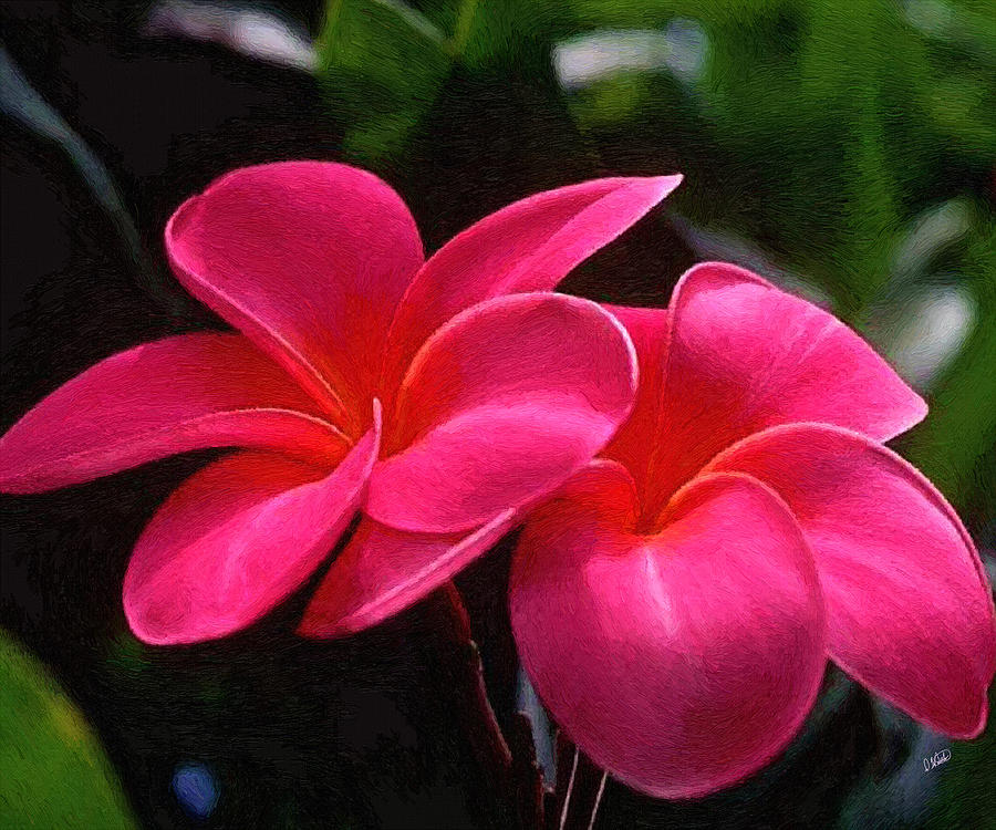 Pink Frangipani 003 Painting by Dean Wittle