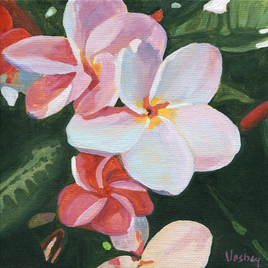 Pink Frangipani Painting by Stacy Vosberg