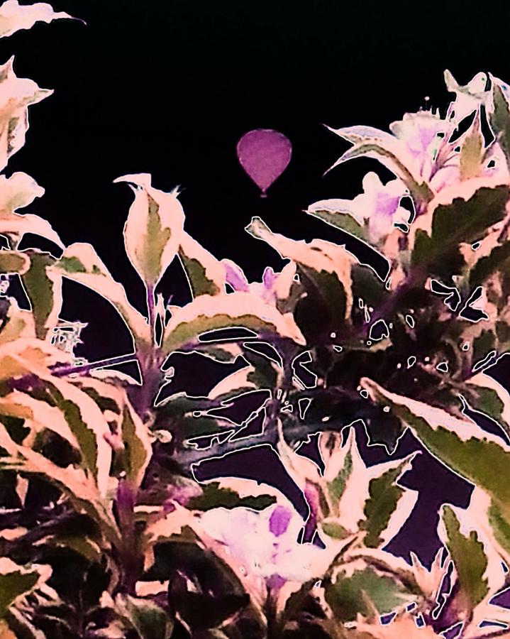 Pink Garden Balloon Photograph by Candy Floss Happy
