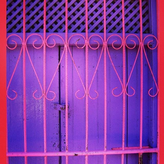 Historical Photograph - Pink Gate and Purple Door by Jack LaForte