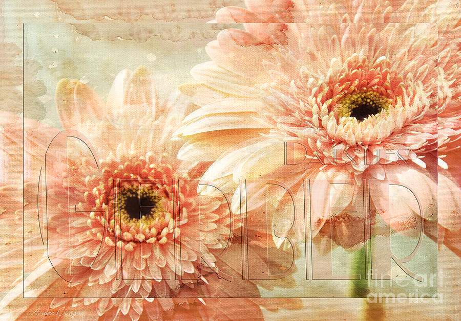 Pink Gerber Daisies 3 Mixed Media by Andee Design