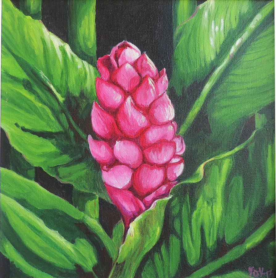 Pink Ginger Lily Bloom Painting By Sharon Fox Mould