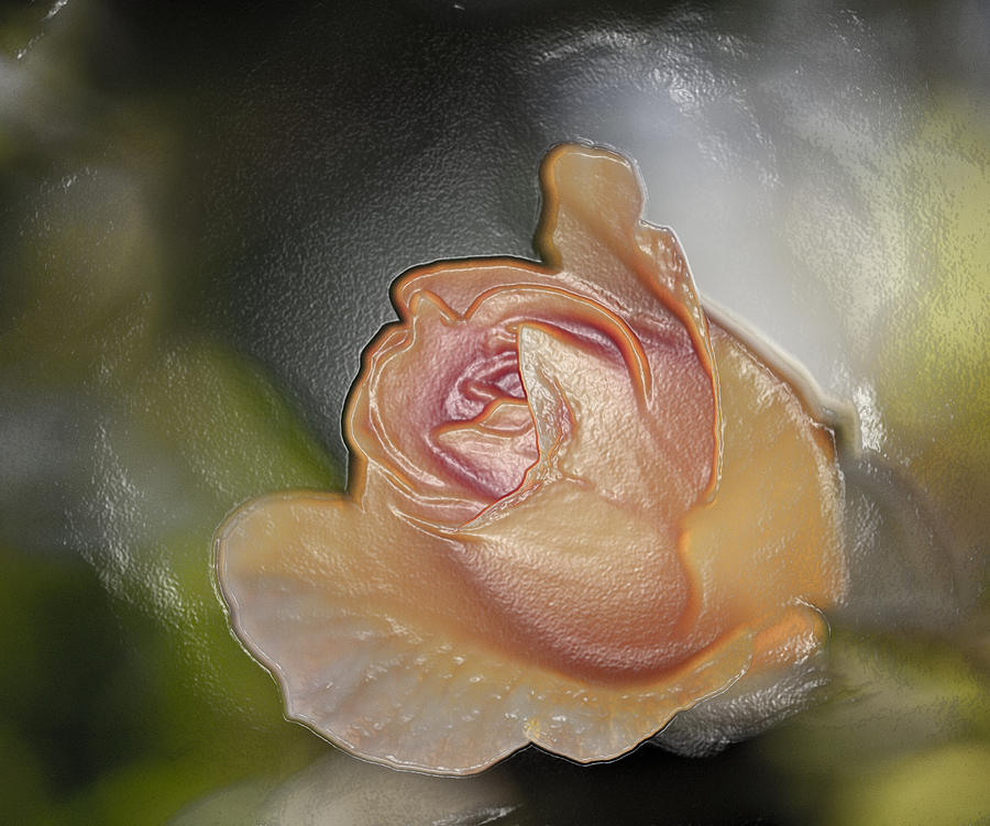 The Glass Rose Photograph by Gilbert Artiaga
