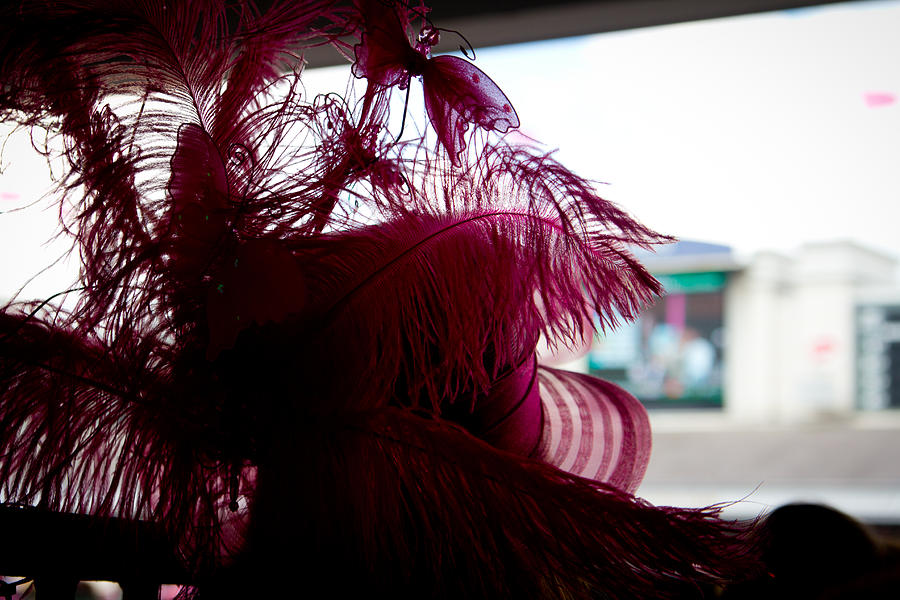 Pink Hat from Behind at the Paddock Photograph by John McGraw