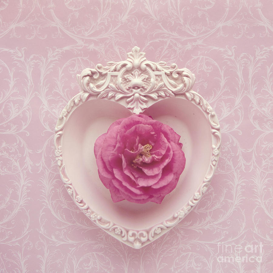 Pink heart - Pink camellia Photograph by Cindy Garber Iverson