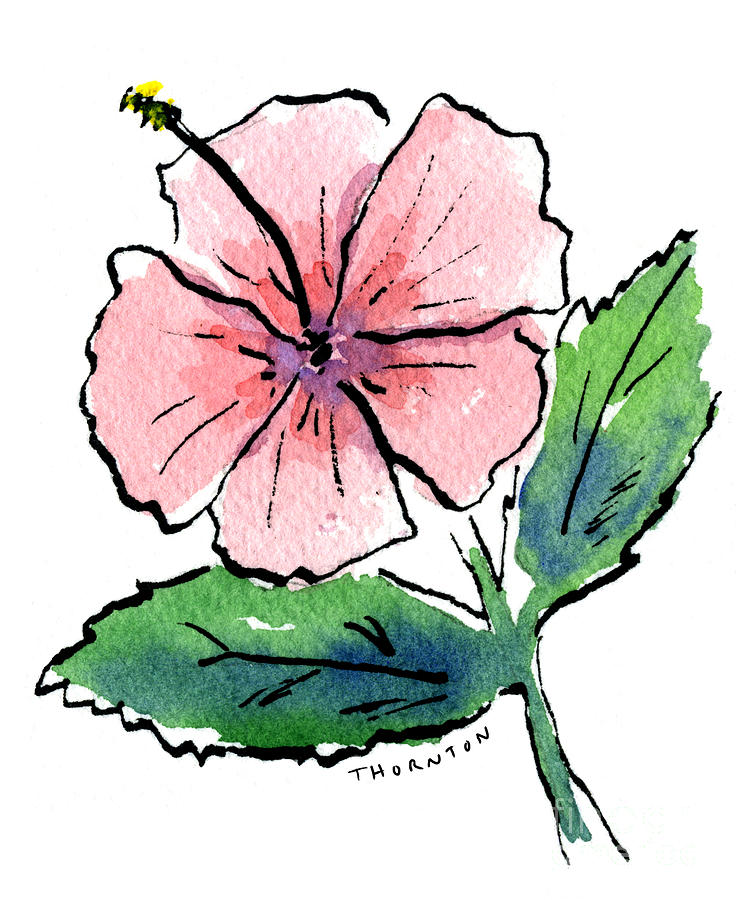 Pink Hibiscus Painting by Diane Thornton