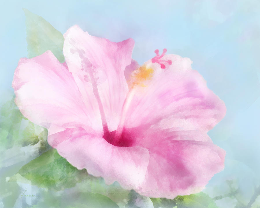 Pink Hibiscus Digital Art by Frances Miller
