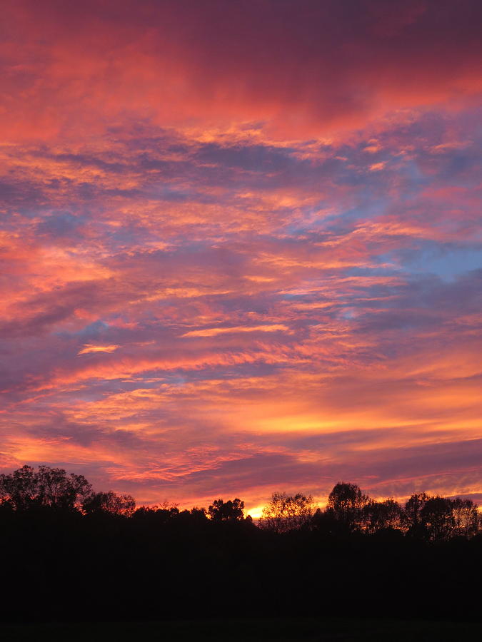 Pink Horizon Photograph by Jillian Mabe | Fine Art America