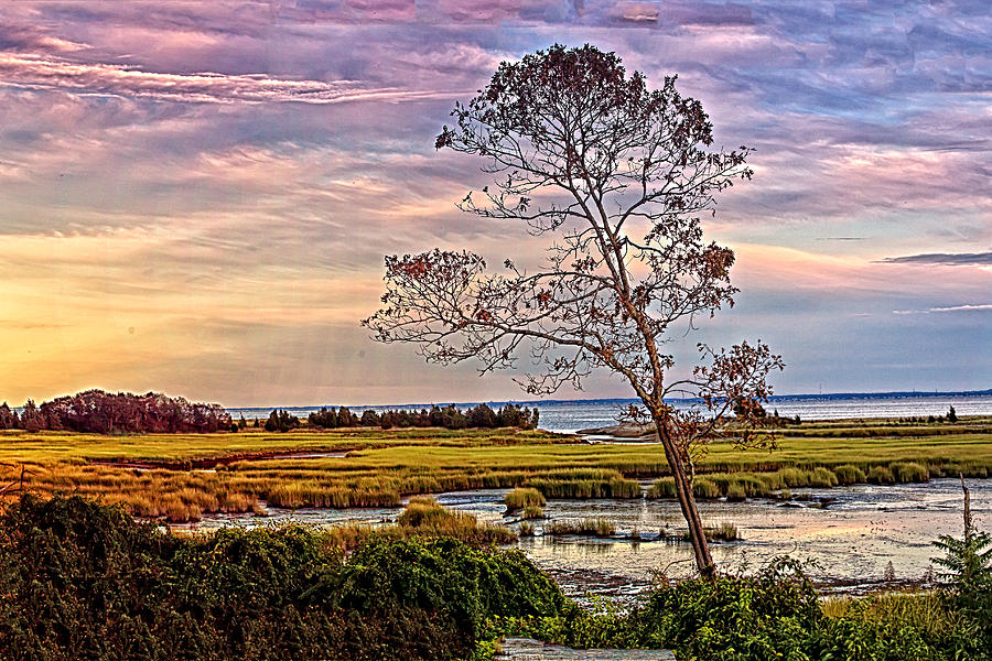 Pink Hour Sunset On A Cape Cod Marsh Photograph by Constantine Gregory