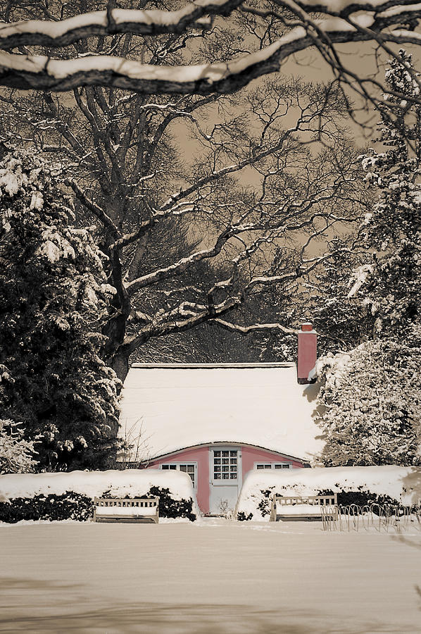 Pink House in Snow Photograph by Roni Chastain