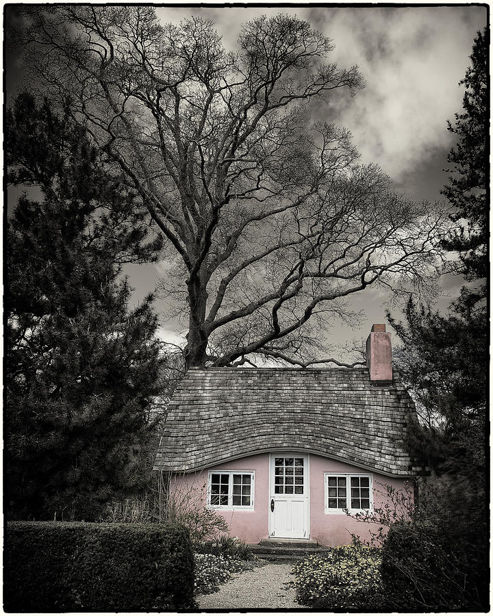 Pink House Photograph by Roni Chastain