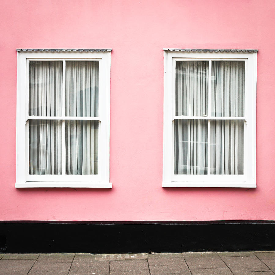Rose Photograph - Pink House by Tom Gowanlock