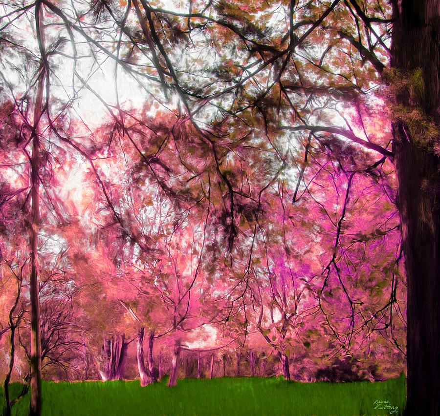 Pink in the Park Painting by Bruce Nutting
