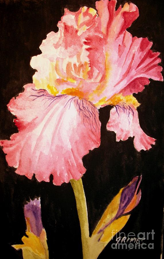 Pink Iris Painting by Carol Grimes