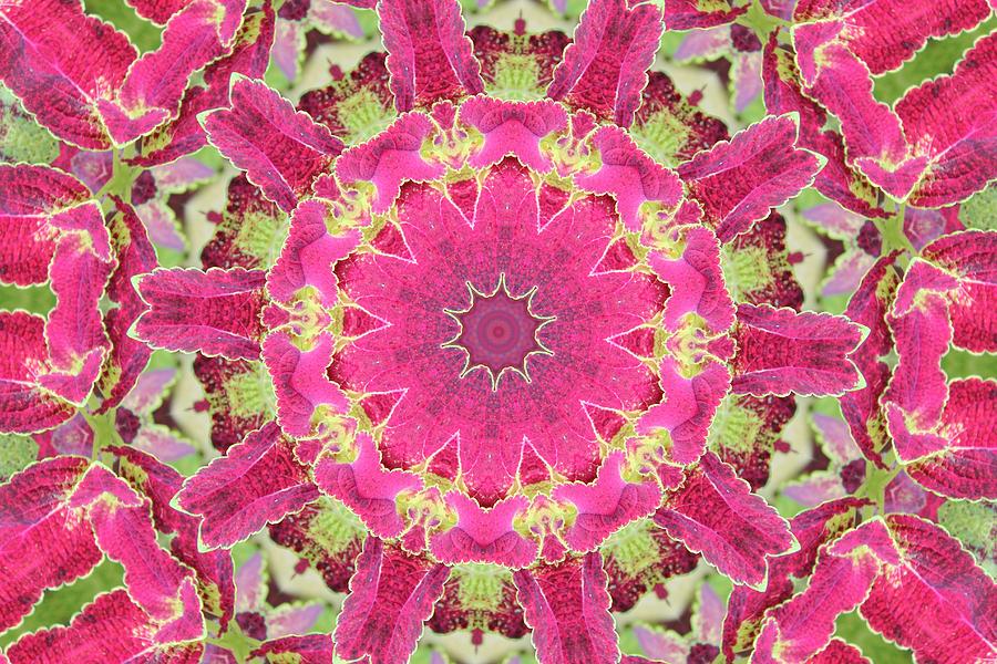Pink Kaleidoscope Photograph by Joyce Baldassarre - Fine Art America