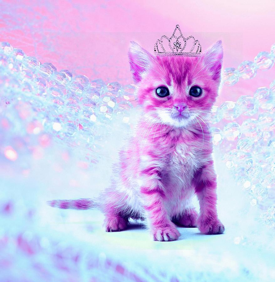 Pink Kitty princess Digital Art by Lilia D