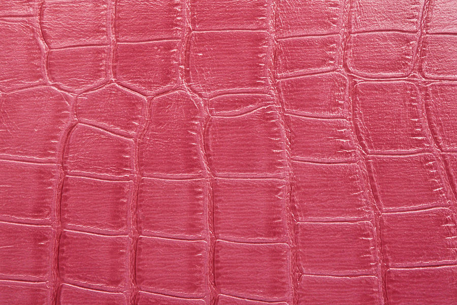 Pink leather Photograph by Tom Gowanlock - Pixels