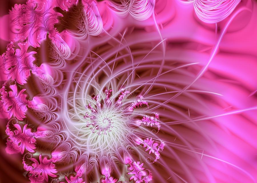 Feather Digital Art - Pink by Lena Auxier