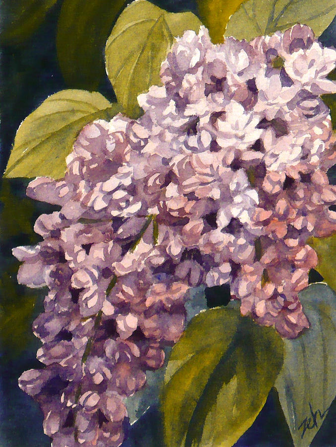 Pink Lilacs Painting by Janet Zeh